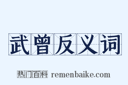 武曾反义词是什么意思的图片